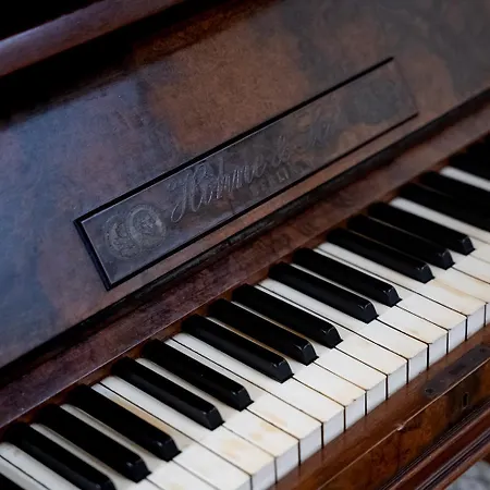 Charme Spagna Apartment *